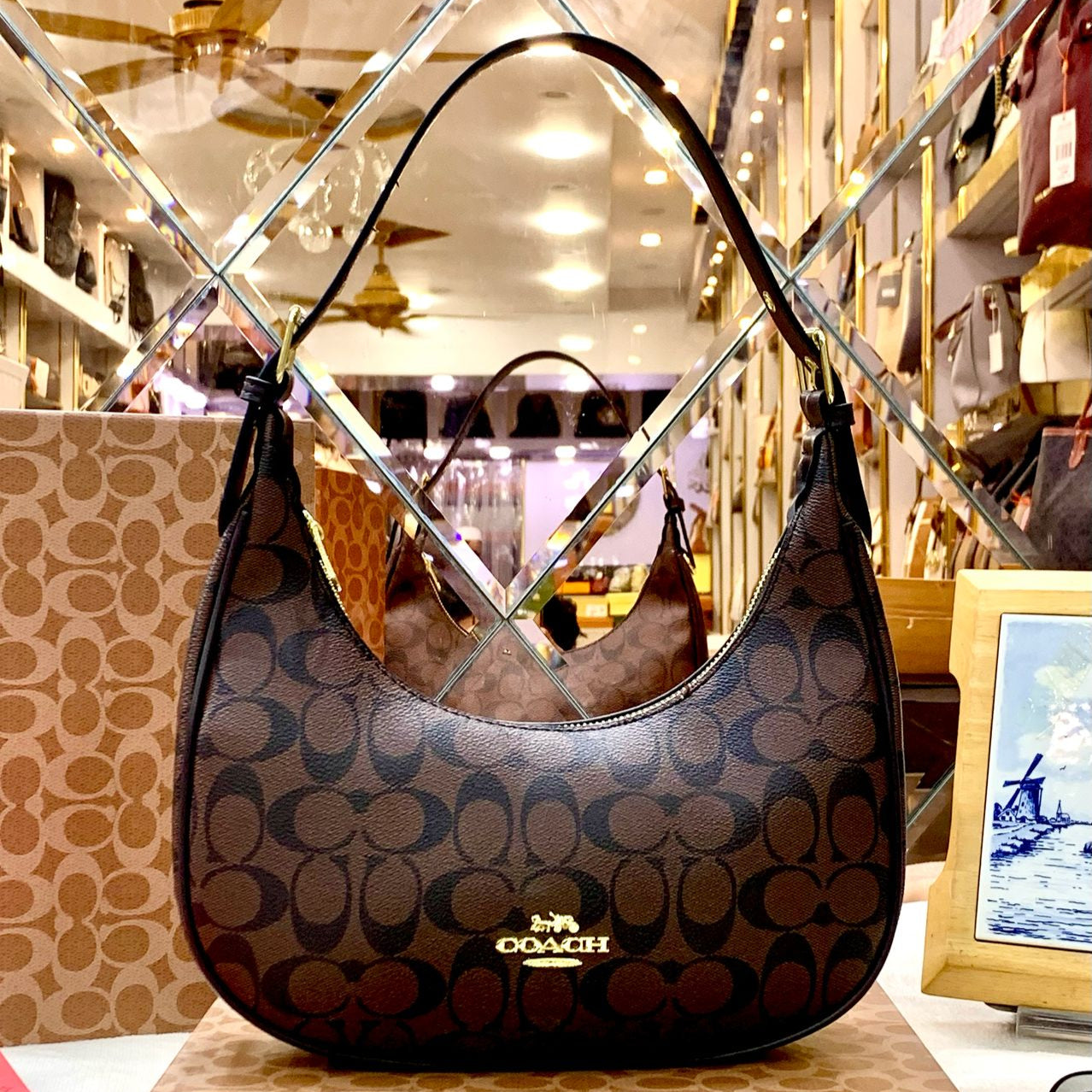 COACH Bailey Hobo Shoulder Bag